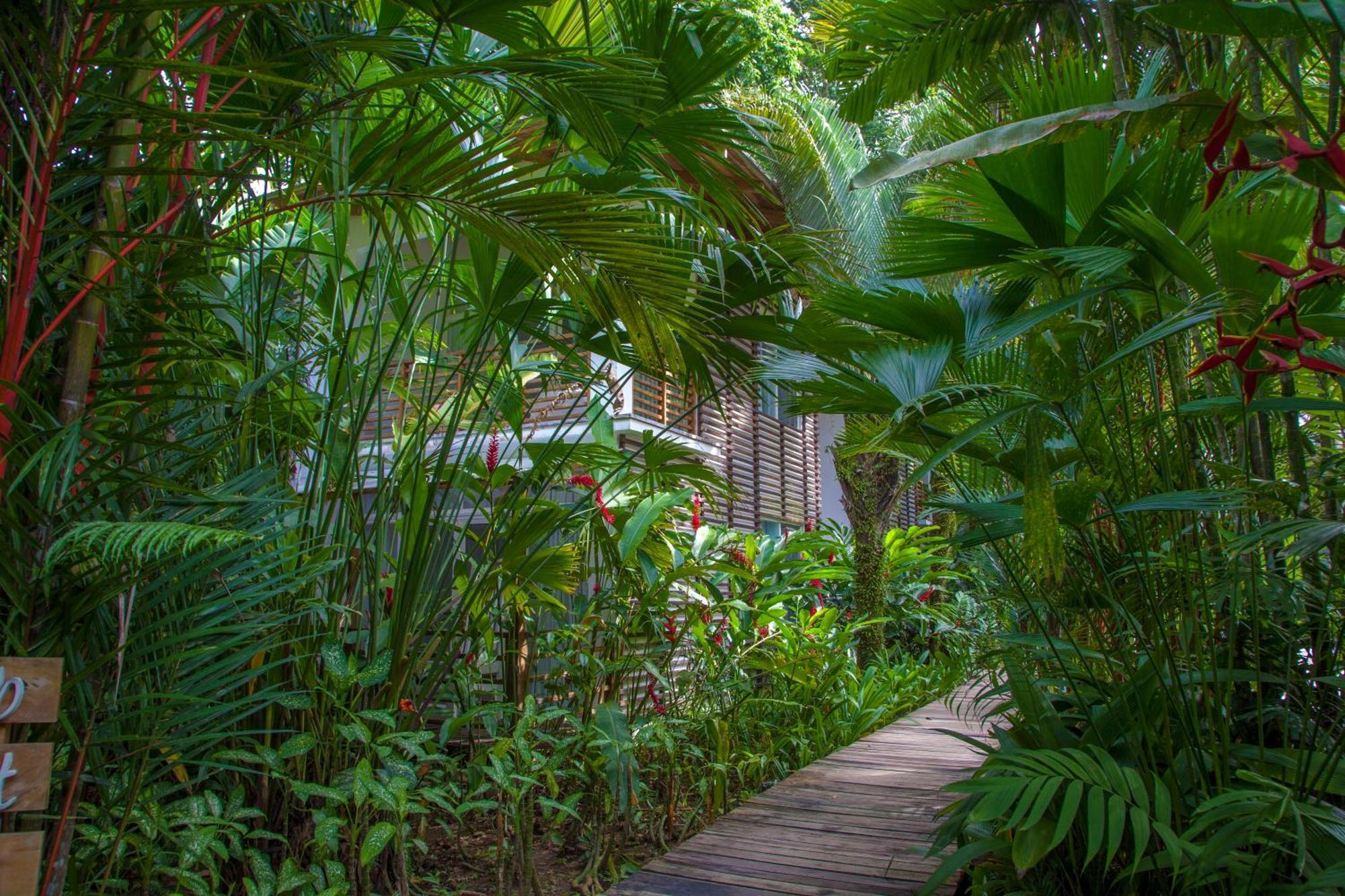Le Cameleon Boutique Hotel Puerto Viejo de Talamanca Экстерьер фото